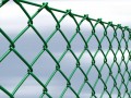 Сетка рабица с ПВХ полимерным покрытием 2 м заказать в Фэмили Пром 2